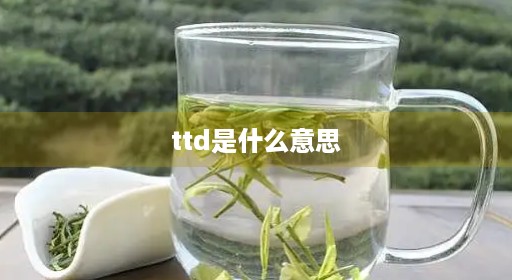 ttd是什么意思