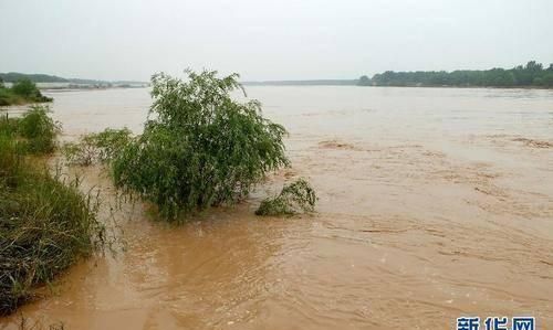 洪水标准是什么意思