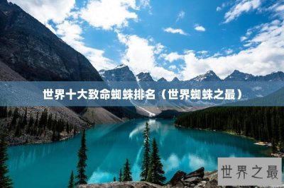 ​世界十大致命蜘蛛排名（世界蜘蛛之最）