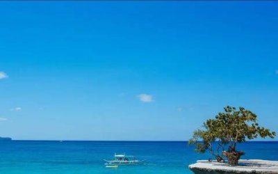 ​春游的诗句唯美，春游踏青的诗句