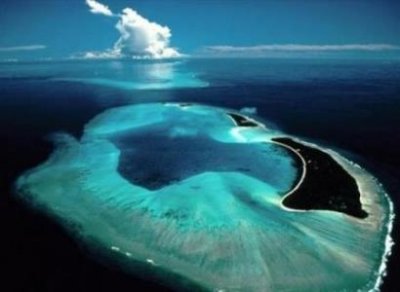 ​长江走蛟事件真相 有依据长江出现黑鱼