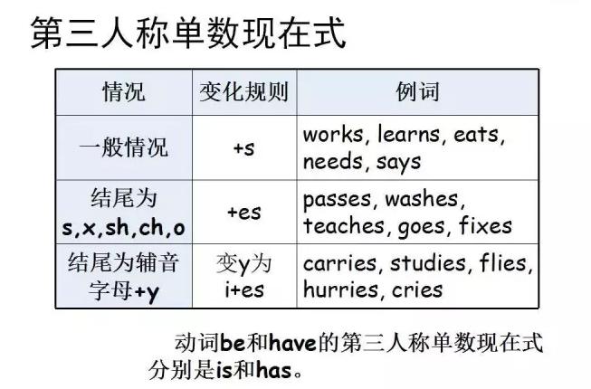 study的第三人称单数形式是什么（有具体的使用说明吗）