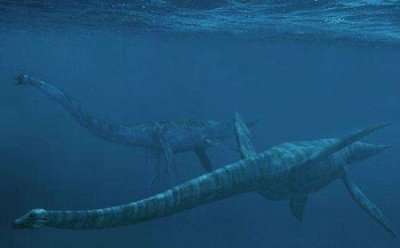 ​怎么去西沙群岛旅游 怎么去西沙群岛旅游