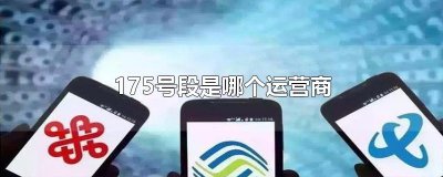 ​175号段是哪个运营商