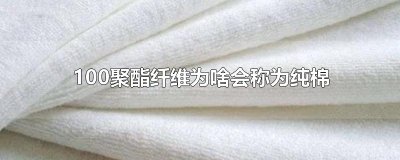 ​100聚酯纤维为啥会称为纯棉