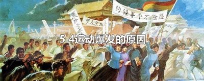 ​5.4运动爆发的原因