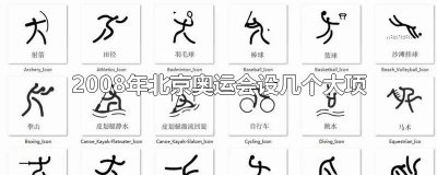 ​2008年北京奥运会设几个大项