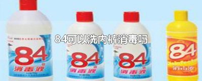 ​84可以洗内裤消毒吗
