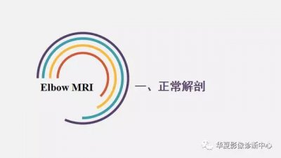 ​难得精品！肘关节的解剖太详细了