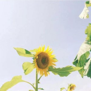 ​努力赚钱的说说，激励自己努力赚钱的话