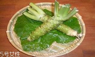 山葵的种植技术 四大要点