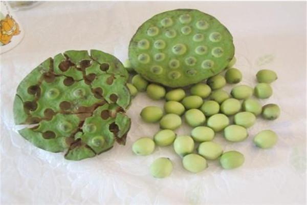 莲蓬可以煲汤吗 莲蓬可以怎么吃