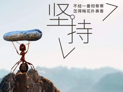 ​什么是真正的坚持