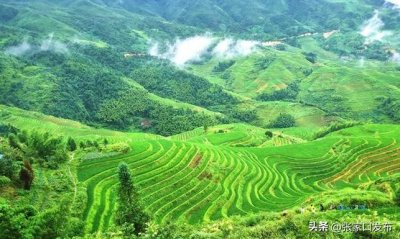 ​张家口：加强草原生态管理推进草原生态修复