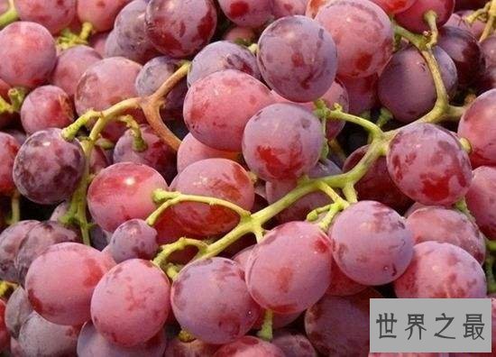 提子和葡萄的区别,两者之间的营养价值不同