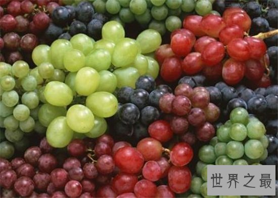 提子和葡萄的区别,两者之间的营养价值不同