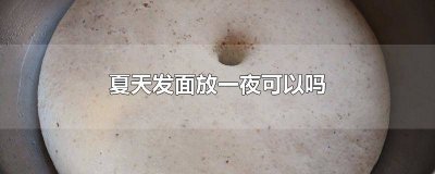 ​面放一夜能发吗 发面夏天晚上放一夜还能用吗