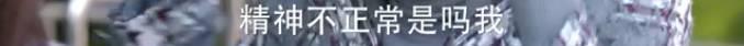 这部号称适合陪着父母看的电视剧，究竟够不够真实？