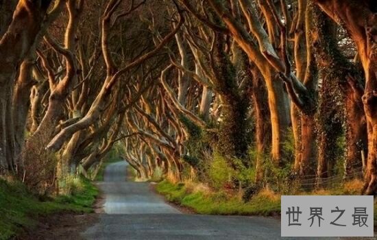 世界十大最美旅游景点排行榜，绝不能错过的人间美景。