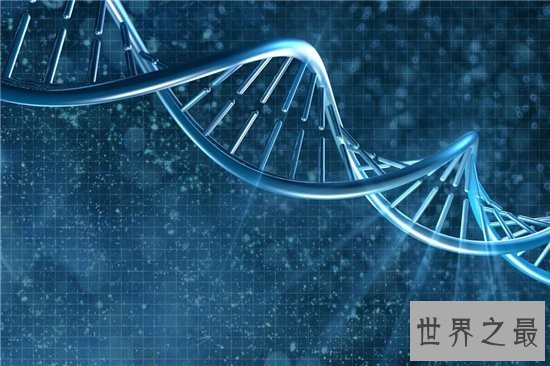 dna双螺旋结构发现者詹姆斯·沃森,被称作DNA之父