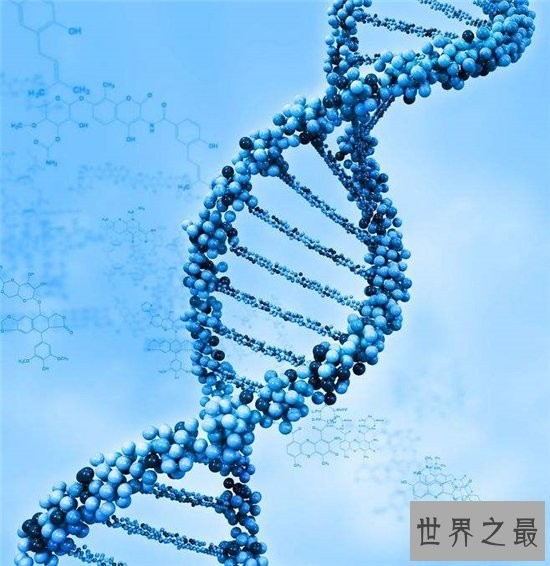 dna双螺旋结构发现者詹姆斯·沃森,被称作DNA之父