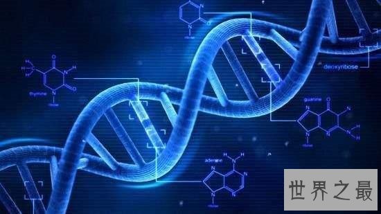 dna双螺旋结构发现者詹姆斯·沃森,被称作DNA之父