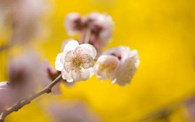 ​和女生认识初期聊天话题 刚认识的女生怎么聊天