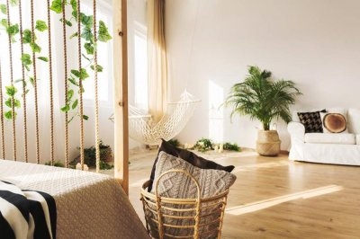 ​万年麻的繁殖方法