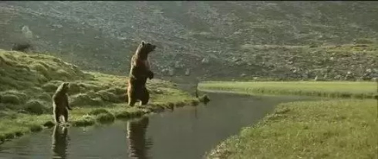 冷门高分电影推荐（5部被严重低估的冷门高分电影）