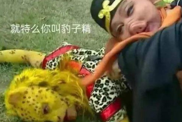 金钱豹是什么梗:具有招财旺财的寓意(源于西游记人物)