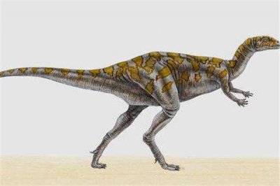 ​橡树龙：奔跑速度极快遇到危险会快速逃离