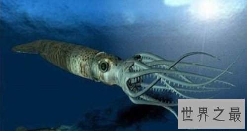 巨枪乌贼 世界上最大的乌贼是抹香鲸的死敌