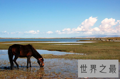 中国最大的湖泊 面积竟高达4583平方公里!