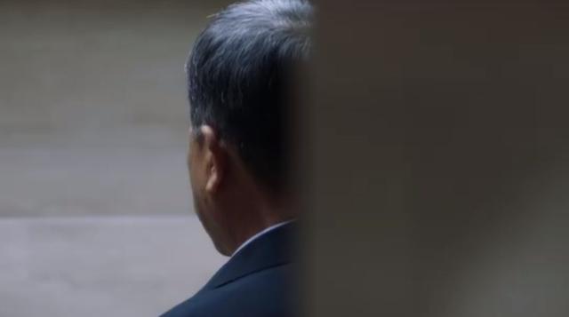 网剧 重生（闲聊网剧重生）(12)