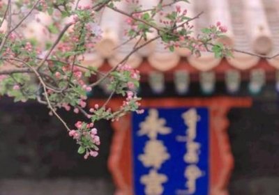 ​乾隆为何让最爱的女儿去和亲？