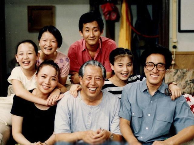 90后必看十部老电视剧（90年代经典的电视剧）(18)