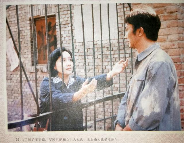 90后必看十部老电视剧（90年代经典的电视剧）(16)