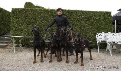 ​成龙十大电影票房（俄罗斯狂轰2.82亿）