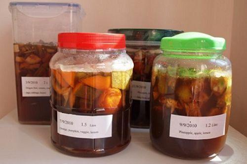 花肥自制最简单的不必稀释就可使用的营养液制作