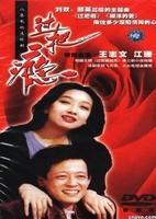 2000年左右好看的电视剧推荐（那些年我们追过的电视剧--2000年以前）(56)