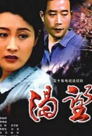 2000年左右好看的电视剧推荐（那些年我们追过的电视剧--2000年以前）(55)