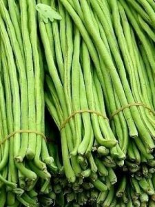 ​豇豆是什么(豇豆是什么味道的)