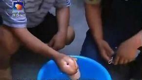 西安农民打井发现“肉灵芝”,女记者前来采访,最后捂脸跑开!