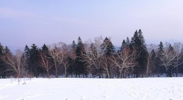 羊草山是中国雪乡最高的一座山,位于雪乡西北角