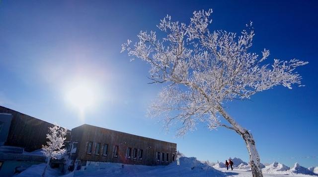 羊草山是中国雪乡最高的一座山,位于雪乡西北角