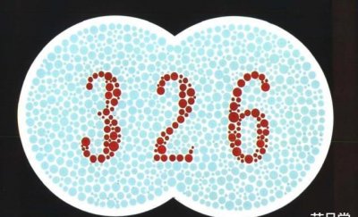 ​5张色觉测试图，最后2张，你能够识别出来吗？