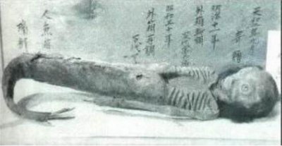 ​世界上的美人鱼化石，证实美人鱼真的存在(美人鱼图片)