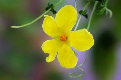 ​“最霸道”的4大生肖男，即便爱到骨子里，也不愿意为另一半妥协