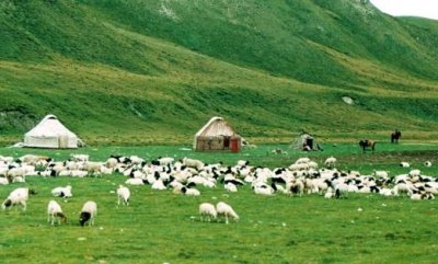 ​没到过圣彼得堡就不算真正去过俄罗斯