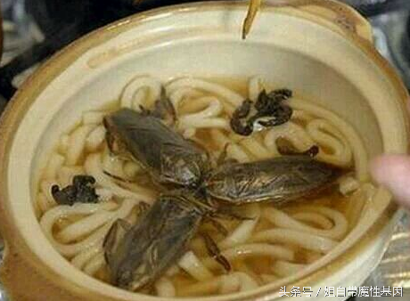 日本吃屎宴叫什么名字（全球最奇葩恶心食物）